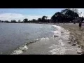 waves Compo Beach