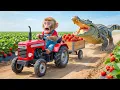 Lagu Monkey NaNa’s Strawberry Harvest Turns CHAOTIC… A Giant Crocodile Appears—His Smart Move SHOCKS All!