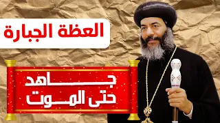 تأمل سيغير حياتك للانبا كاراس   جاهد حتى الموت دندنها