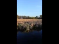 Lincoln Marsh Racket