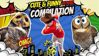 BIBIB FAMILY CUTE AND FUNNIEST COMPILATION 2026!!🤣