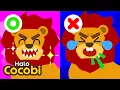 Download Lagu Singa Kehilangan Gigi | Lagu Binatang Anak | Kids Song | Halo Cocobi Bahasa Indonesia
