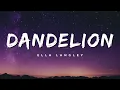 Lagu Ella Langley - Dandelion (Lyrics) - 1 Hour