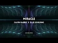 Calvin Harris, Ellie Goulding - Miracle (DEVANK FUTURE RAVE REMIX)