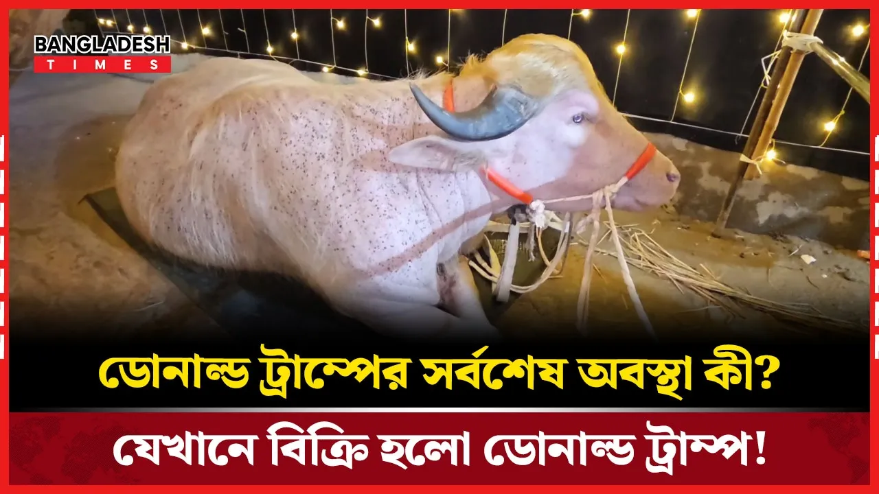 অবশেষে কত টাকায় বিক্রি হলো আলোচিত 'ডোনাল্ড ট্রাম্প'?