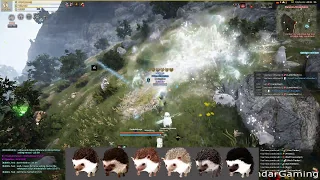 Is the Hedgehog pet worth Prolly Incendar reports you decide Black Desert Online BDO