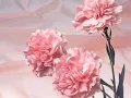 Hiroki Kikuta - This Heart [Seiken Densetsu 3 OC REMIX]