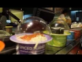 Blue C Sushi Conveyor Belt