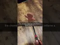 the chemical reaction when you inflame a gingerbread man