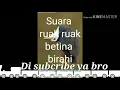 Download Lagu Suara pikat ruak ruak betina cocok untuk jerat racik