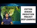 Live Project-Cotton Disease Prediction Deep Learning Live Project Implementation