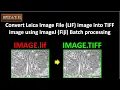 Convert Leica Image File LIF into TIFF image using ImageJ Fiji batch processing