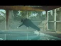 Download Lagu Josh Nichols - Scared (Official Video)