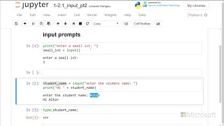 input prompts - Introduction to Python Absolute Beginner Module 1 16