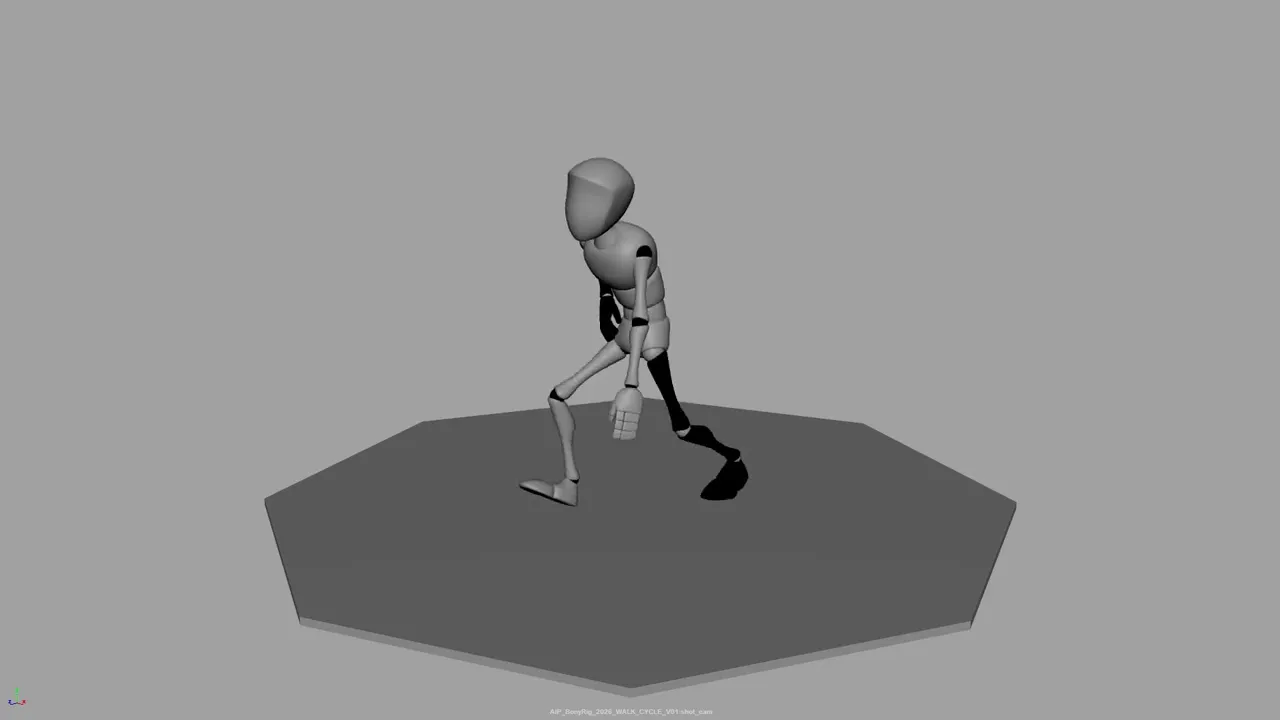 3D Walk Cycle