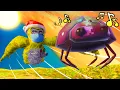 Doug IS The Bug