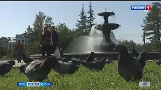 В Омске пройдут дожди