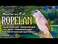 Lagu TRUCUKAN GACOR FULL ROPEL PANJANG || pancingan, masteran terbaik untuk trucuk dan burung lainya