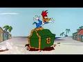 Download Lagu Pica-Pau Procura Por Um Tesouro Enterrado | 2.5 Horas de Episódios Antigos | Pica-Pau em Português