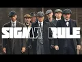 Download Lagu Sigma rule | Drive Forever - Положение | (T3NZU Remix - Original Lyrics)