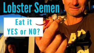 Youtube removed this episode – Living off the ocean in remote Australia – Ep 115