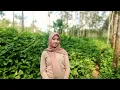 Download Lagu JANDA DESA NENG DEWI JANDA MUDA 21 TAHUN || BERANI BANGKIT \u0026 MULAI USAHA UNTUK KELUARGA!