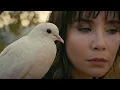 The Little Dove - The Cadets of Linares - Video