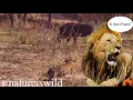 - Top Posts Of All Time