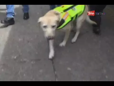 Implementan operativo Mitos de inseguridad 3