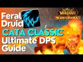 Feral Druid Complete DPS Guide Cataclysm Classic