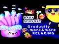 Baby Sensory - Wind down and relax Infant visual stimulation Summer Dreams