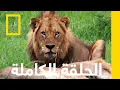 Download Lagu جنة المفترسات | أشرس كائنات أفريقيا | ناشونال جيوغرافيك أبوظبي MP3