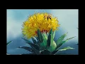 Download Lagu Find You Tahoma - Lofi chill