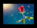 Picturesque - Without You (Lyric Video)