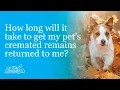 How long will it take to get my pet s cremated remains returned to me