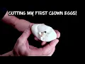 Ball Python Egg Cutting