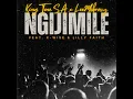 NGIJIMILE (feat. X-Wise & LilyFaith) - King Tone Sa & LeeMcKrazy