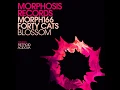 Forty Cats - Blossom (Retroid Remix)