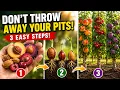 Don t Throw Away Your Pits Grow Peach Plum Cherry Apricot Almond Trees in Just 3 Easy Steps