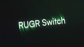 Powering High-Performance UPI Transactions with RUGR Switch