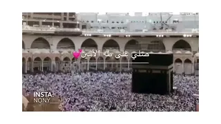 انشودة يارب العالمين صلي على طه الامين دندنها