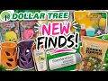 NEW DOLLAR TREE FINDS JUST DROPPED AT MY STORES