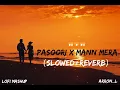 Pasoori x Mann Mera (slowed reverb) Lofi Mashup Viral Song #slowedandreverb #textaudio #lofimashup