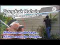 Download Lagu Tips pasang shera plank sorang diri capman diy | diy pasang shera untuk pagar rumah