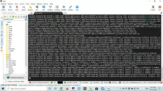 Bioinformatics 12 Writing a bash script