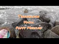 Download Lagu LAGU KENANGAN POPPY MERCURY-TINGGALKAN