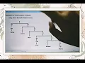 Complementizer Phrase syntax - Introduction to Linguistics