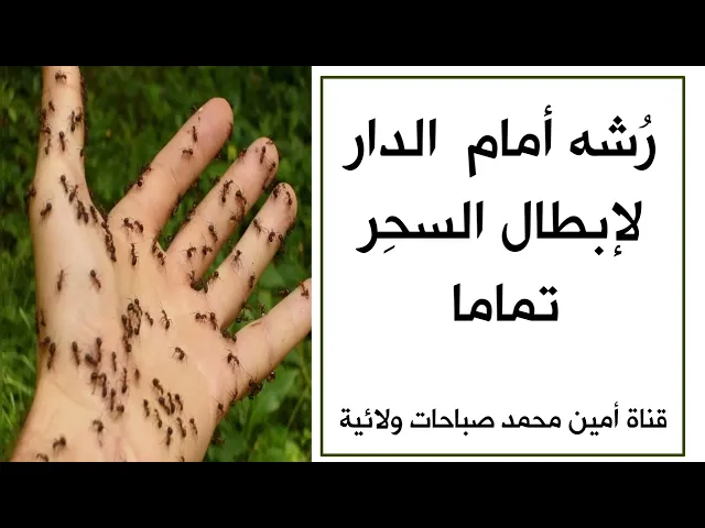 ⁣رشه أمام الدار لإبطال السحر تماما.. مجربات آية الله السيد عادل العلوي قدس سره
