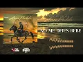 No Me Dejes Bebe - (Visualizer) - Eslabon Armado - DEL Records 2024