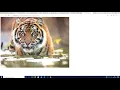 IMAGE CLASSIFICATION USING DEEP LEARNING AND MODEL DEPLOYMENT USING DJANGO - PART 1